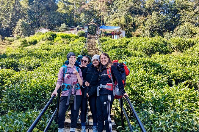 10 Days Private Guided Annapurna Basecamp Trek via Poon Hill - Day 9–10: Kuldighar, Chhomrong steps, Jhinu Danda Hot Spring, and Pokhara
