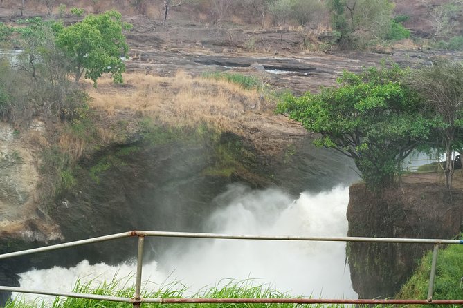 10 Days Uganda Gorilla & Chimpanzee Trekking Safari - Ishasha Sector and the Tree-Climbing Lions Chance