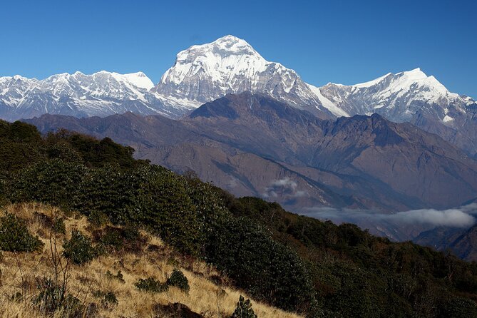 12-Day Nepal Adventure Trek with Jungle Safari - Price and logistics: what $950 gets you (and what it doesn’t)