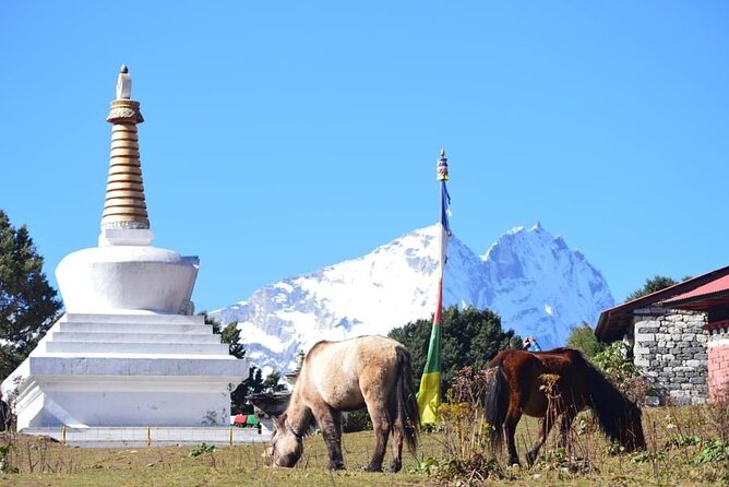 12 Day Private Mt. Everest View Luxury Trek - Luxury Trek Logistics: What You’re Actually Buying for $3,773