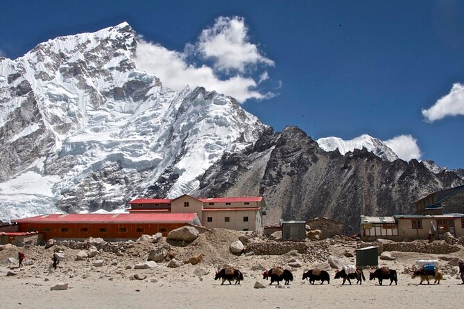 12 Days Everest Base Camp Trek - Lobuche, Gorakshep, and Reaching Everest Base Camp