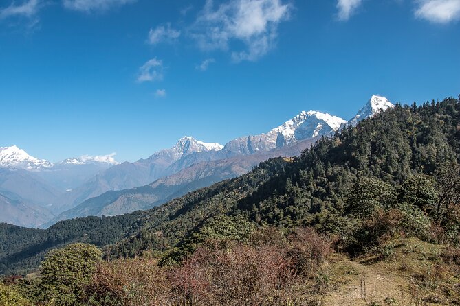 12 Days Trek Tour in Nepal - The hardest day: Nangi to Mohare Danda and the climb to the main show