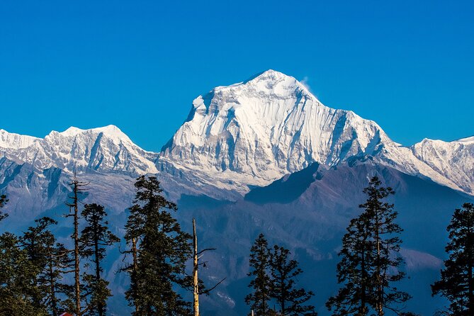 12 Days Trek Tour in Nepal - Mohare Danda sunrise, then a trek past Gorepani energy