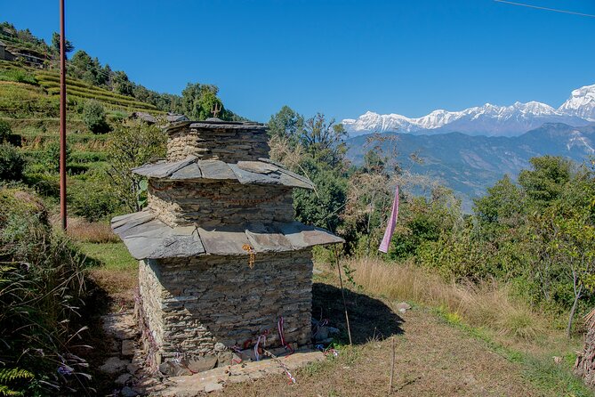 12 Days Trek Tour in Nepal - Day 8 to Ghandruk: forest walking and the Annapurna South viewpoint payoff