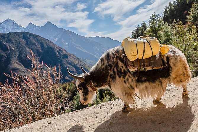 13-Day Private Trekking Experience in Everest Base Camp - Lobuche: cairn memorials, glacier-edge walking, and a big-picture feeling