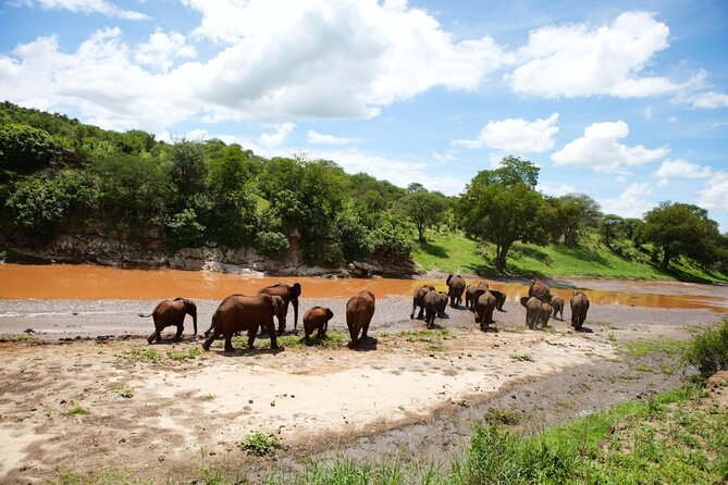 13 Days Adventure in Tanzania - Trekking and Wildlife Safari - Key moments to plan for