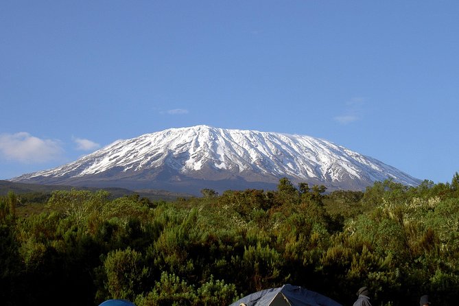 13 Days Adventure in Tanzania - Trekking and Wildlife Safari - From Arusha to Machame Gate: altitude comes fast