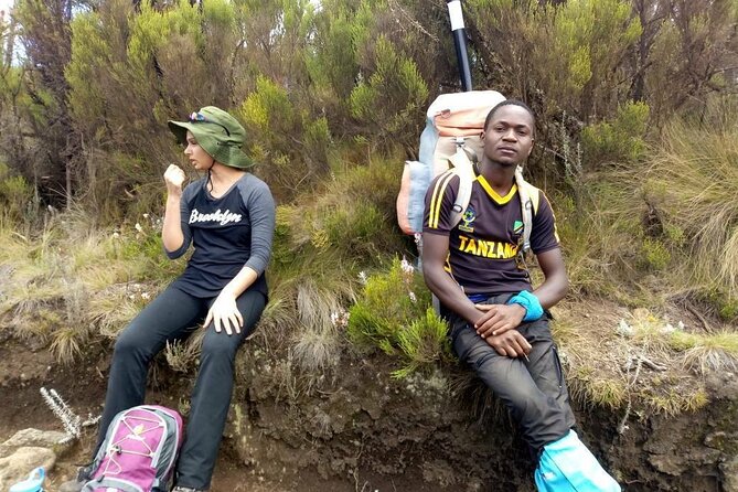 13 Days Adventure in Tanzania - Trekking and Wildlife Safari - Serengeti plains: where big cats become a daily question