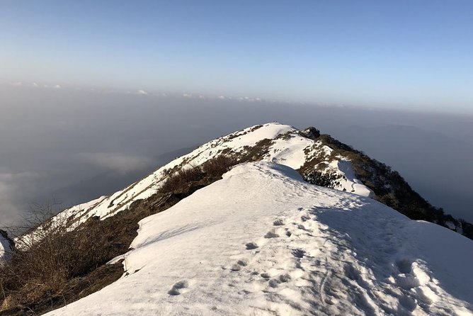14-Day Private Annapurna Base Camp Trek - Your support team on the trail (and why it shows up in real comfort)