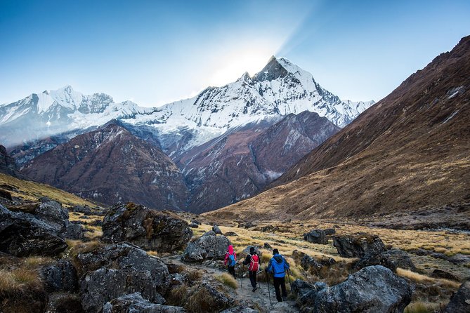 14 days Annapurna Base Camp Trek - Ghorepani through forests: rhododendron hiking and big mountain peeks
