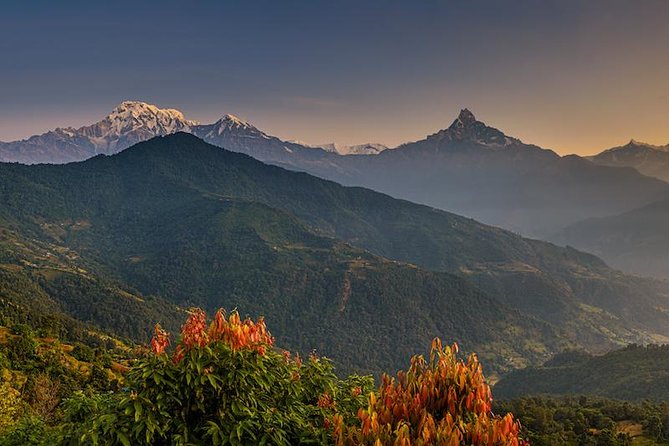 14 days Annapurna Base Camp Trek - Poon Hill sunrise and Tadapani: the reason people get up early