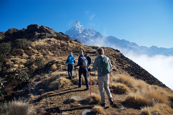 14 days Annapurna Base Camp Trek - Deurali and Macchapuchare Base Camp: dryer forest, river views, and a major viewpoint