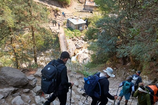 14 days Everest Base Camp Trek - Day 2: Lukla flight and the first steps to Phakding