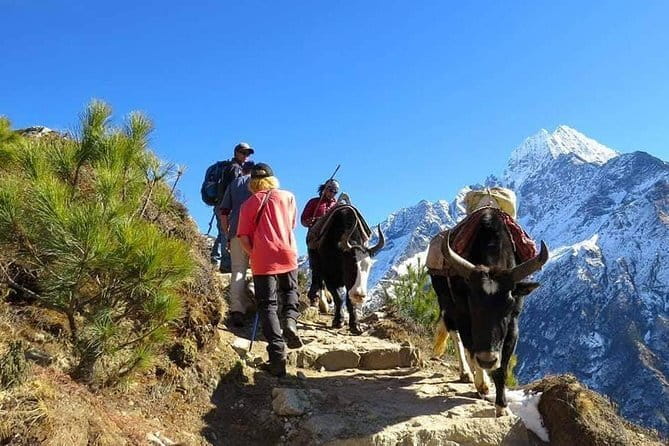 14 Days Everest Base Camp Trekking - Khumbu Glacier approach: Lobuche, Gorak Shep, and the long day to Base Camp