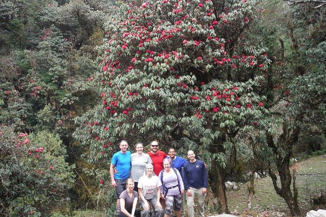 14 Days Luxury Annapurna Base Camp Trek - Day 7: Deurali’s Quiet Stretch and That Wilderness Feeling