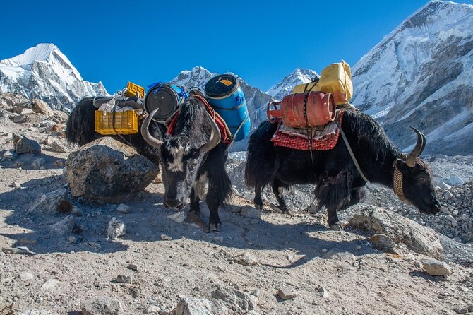 14 Days Private Tour Everest Base Camp Trek - Dingboche acclimatization and Nangkartsang Peak: earning your breath