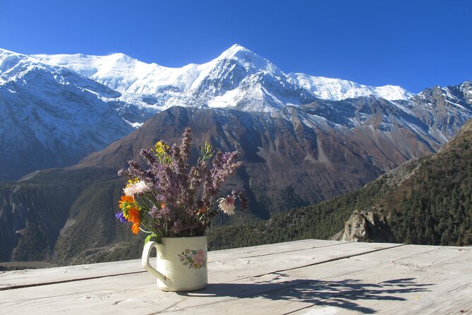 15-Day Private Annapurna Circuit Trek from Kathmandu - Days 5–6: Forest-to-river drama toward Manang and the Pisang choice