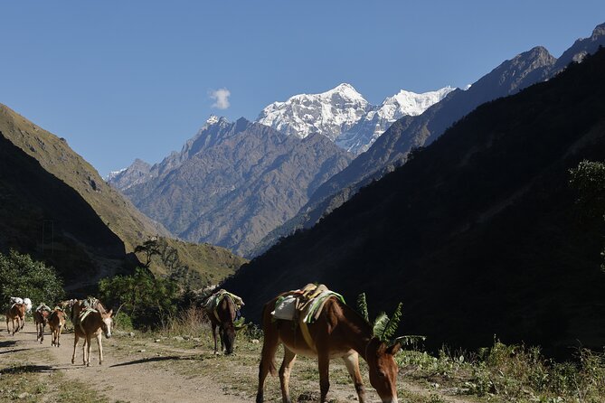 15 Days Manaslu Circuit Trek - The High Country Stages: Samdo to Dharmasala