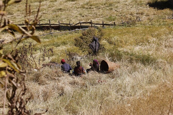 15 Days Manaslu Circuit Trek - Descent and Relief: Dharapani and Tilije Upgrades