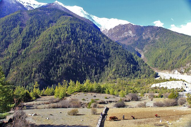 15 Days Round Annapurna Trek with Poon Hill from Pokhara - First nights in Kathmandu: Thamel, hotel check-in, and a briefing that matters