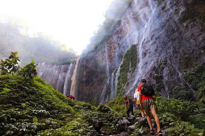 1Day - Tumpak Sewu Waterfall and Goa Tetes Cave Trekking - Key Highlights You’ll Actually Care About