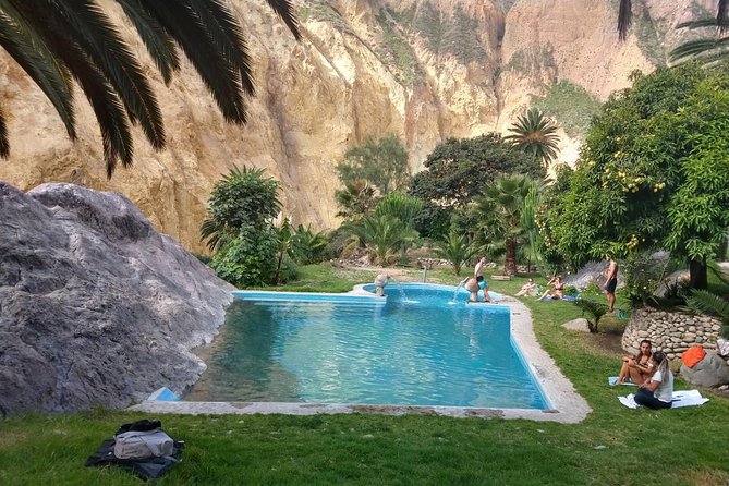 2 Day 1 Night Trek / Colca Canyon - Safety reality: the mule ride question is complicated