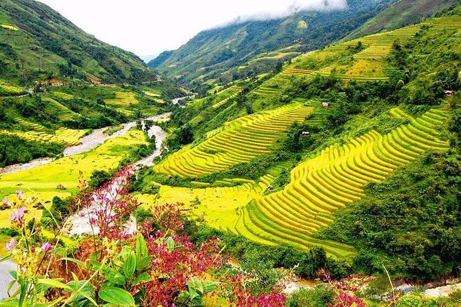 2-Day Amazing Sapa Trek With Sleeper Train From Hanoi - Overnight At Homestay - Price and value at about $161 per person