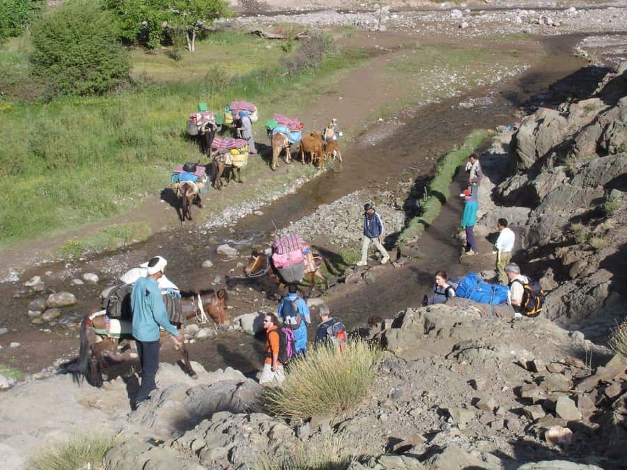 2-Day Atlas Mountains Morocco Trek with Village Stay - Key highlights I’d prioritize