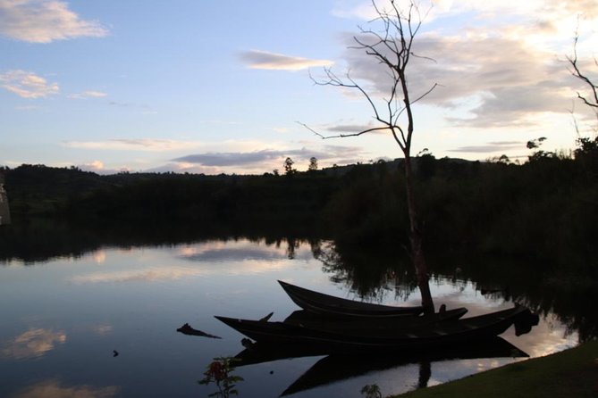 2 Day Gorilla Trekking Safari in Uganda via Kigali - Day 2 Trek Timing: From a Few Hours to Many