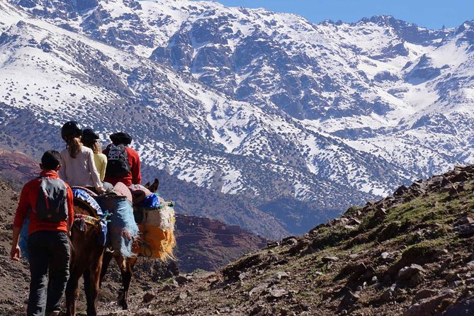 2- Day Guided Cultural Trek in the Atlas Mountains from Marrakech - The Juniper Descent Into Tizi Oussem: Where the Day Becomes Real