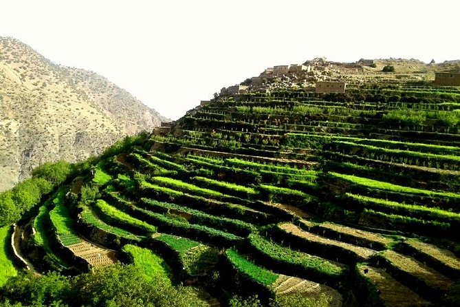 2-Day Guided Trek of the Atlas Mountains and Berber Villages - Small group size (up to 6): what that changes on the trail