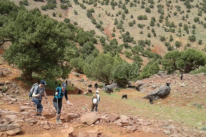 2-Day Guided Trek of the Atlas Mountains and Berber Villages - What to pack: shoes, rain readiness, and sleep comfort
