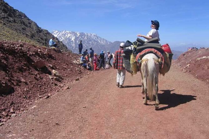 2-Day Jebel Toubkal Trek From Marrakech - Price and value: what $231.13 buys you here