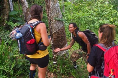 2-Day Jungle Trekking & Rafting in North Sumatra - Day 1: river walk, deeper jungle time, and camping overnight