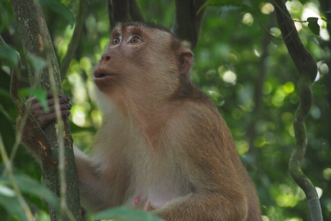 2-Day Jungle Trekking & Rafting in North Sumatra - Rafting back to Bukit Lawang: the payoff moment