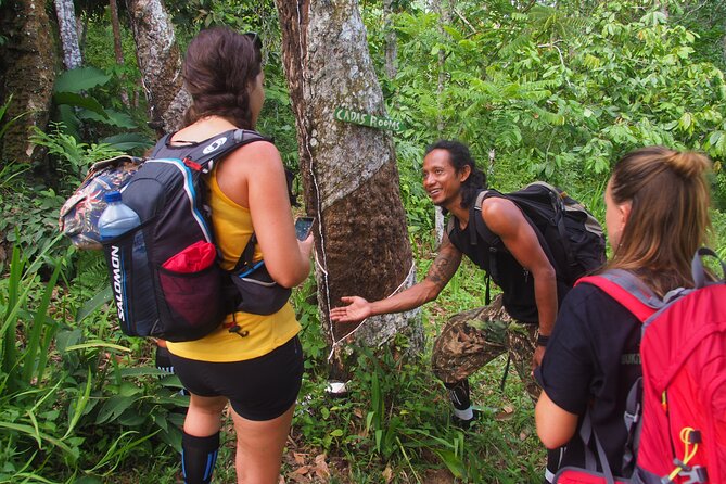 2-Day Jungle Trekking & Rafting in North Sumatra - Day 1: river walk, deeper jungle time, and camping overnight