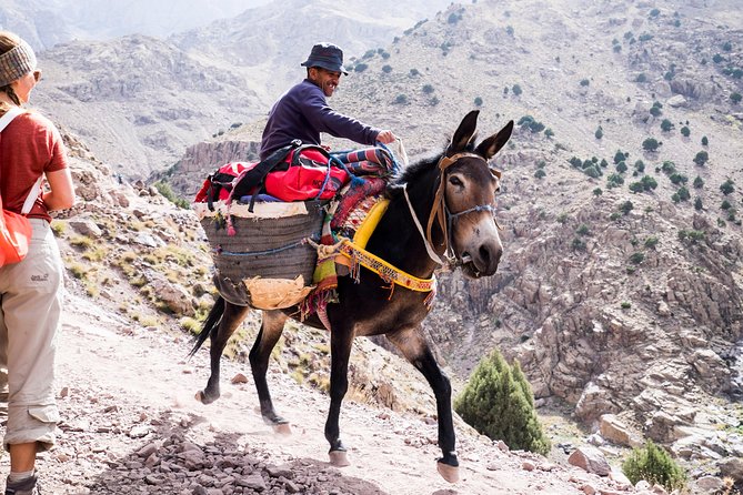 2 day mount toubkal trek ( private trek ) - Key highlights you’ll actually care about