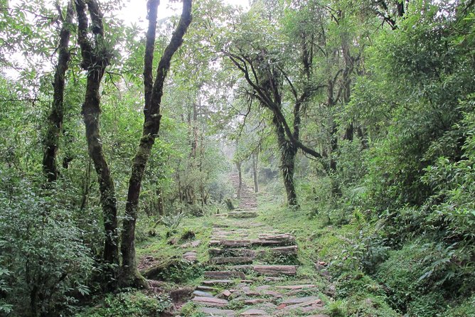 2-Day Private Trekking Tour to Australian Camp & Dhampus - Price and value: what $99 covers (and what you should budget for)