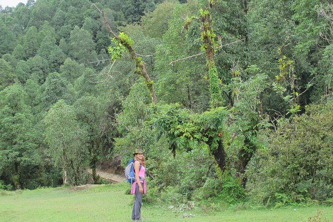 2-Day Private Trekking Tour to Australian Camp & Dhampus - Who should book this trek, and who might want something different