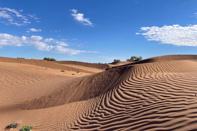 2-day trek - In the footsteps of beetles - Key things I’d circle before you go