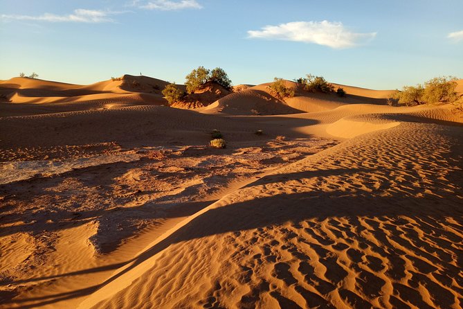 2-day trek - In the footsteps of beetles - Day 2: walking to Mazwrya, the Timbuktu caravan meeting place