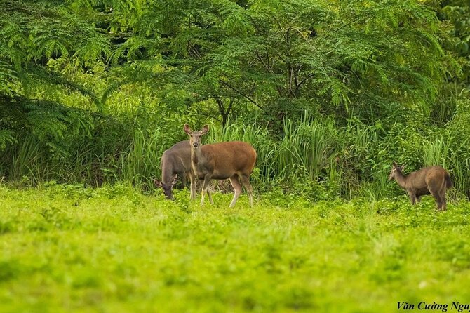 2-Day Trekking & Biking Nam Cat Tien National Park from HCM City - What’s included (and how that affects your budget)