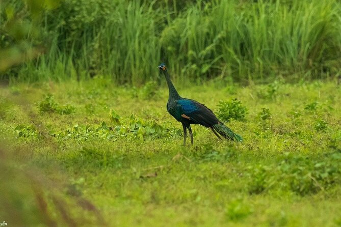 2-Day Trekking & Biking Nam Cat Tien National Park from HCM City - Price and value: is $319 fair for two days here?
