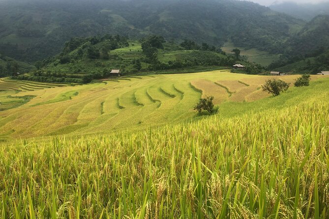 2 Day Trekking Experience: Explore with knowledgeable local guide - Muong Hoa Valley on foot: what 16km actually feels like