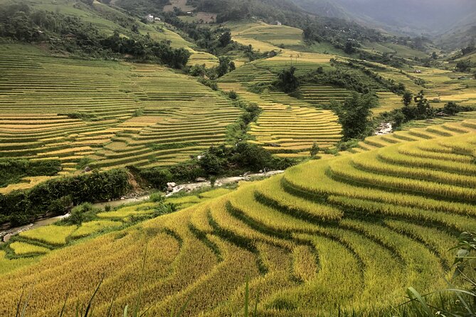 2 Day Trekking Experience: Explore with knowledgeable local guide - Day 1 from Sapa: the walk, the lunch break, and overnight village time