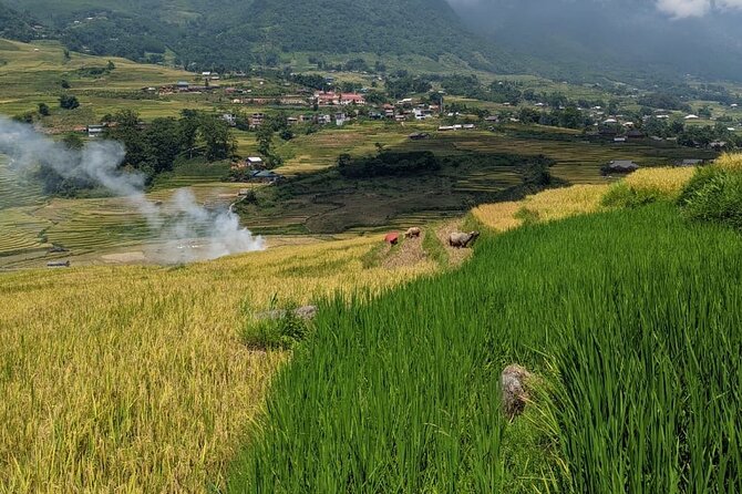 2 Day Trekking Experience: Explore with knowledgeable local guide - Pickup, private group, and getting to the start point