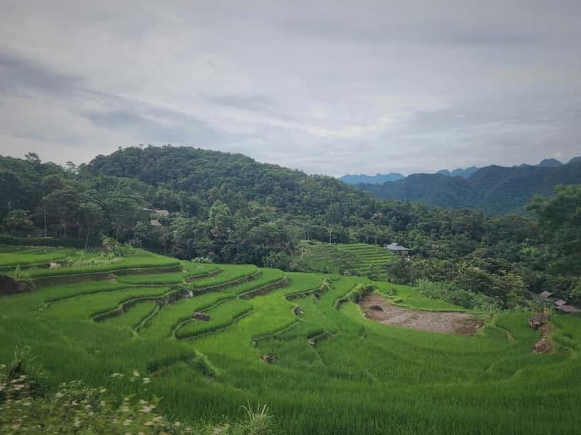 2 Day Trekking In Pu Luong Loop & Overnight At Homestay - Who should book (and who should skip)