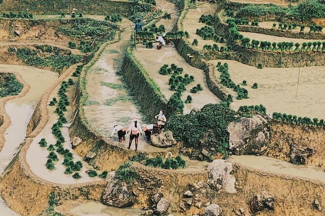 2-Day Trekking in Sa Pa from Ha Noi by sleeping bus - Bamboo forest day: Giang Ta Chai and Su Pan viewpoints