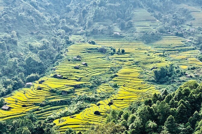 2-Day Trekking in Sa Pa from Ha Noi by sleeping bus - How hard is the trek? pacing, shoes, and weather reality
