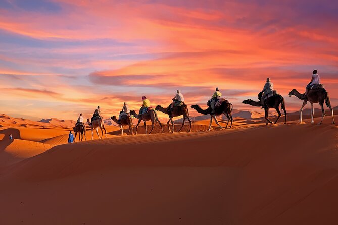 2-Day Tunisia Sahara Desert Camel Trek from Douz - Why Douz Makes This Camel Trek Feel Like a Real Adventure